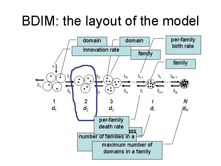 BDIM: the layout of the model domain per-family birth rate domain innovation rate family
