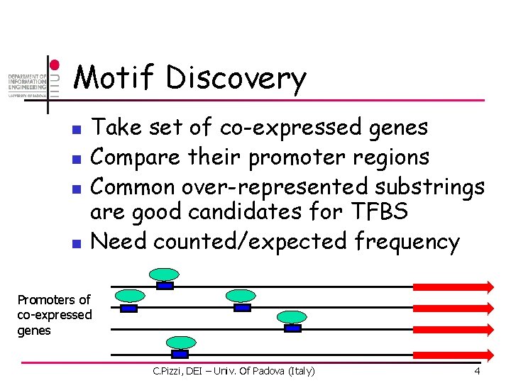 Motif Discovery n n Take set of co-expressed genes Compare their promoter regions Common