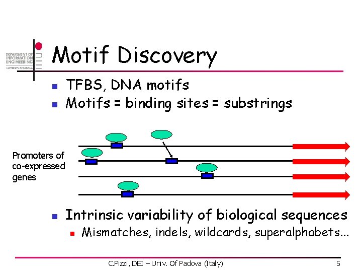 Motif Discovery n n TFBS, DNA motifs Motifs = binding sites = substrings Promoters