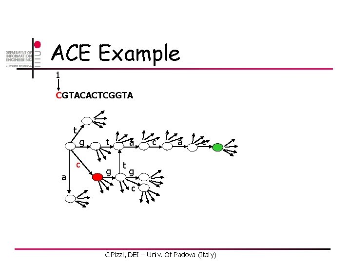 ACE Example 1 CGTACACTCGGTA t g c a t g a t c a