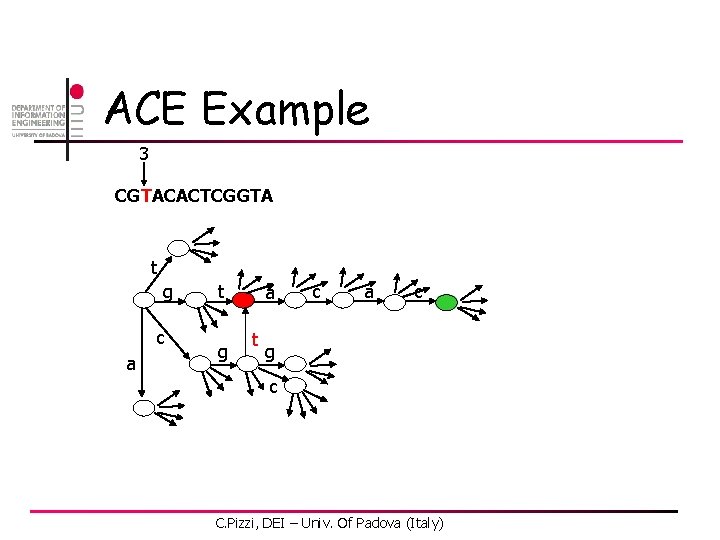 ACE Example 3 CGTACACTCGGTA t g c a t g a t c a
