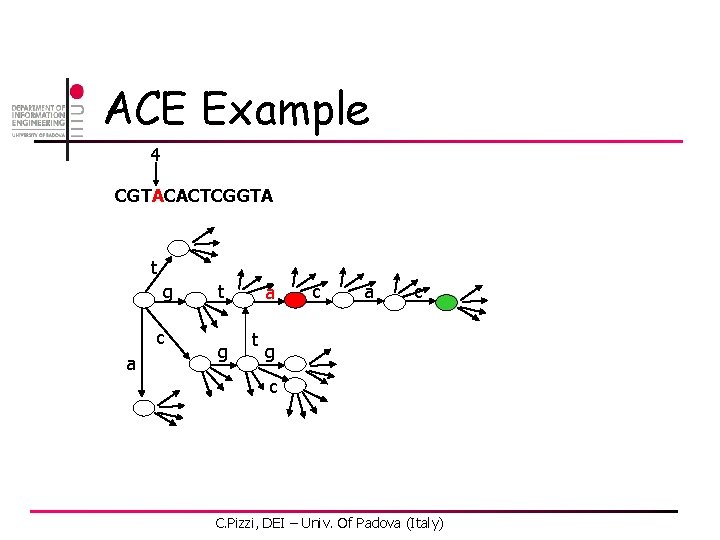 ACE Example 4 CGTACACTCGGTA t g c a t g a t c a