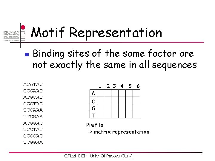 Motif Representation n Binding sites of the same factor are not exactly the same