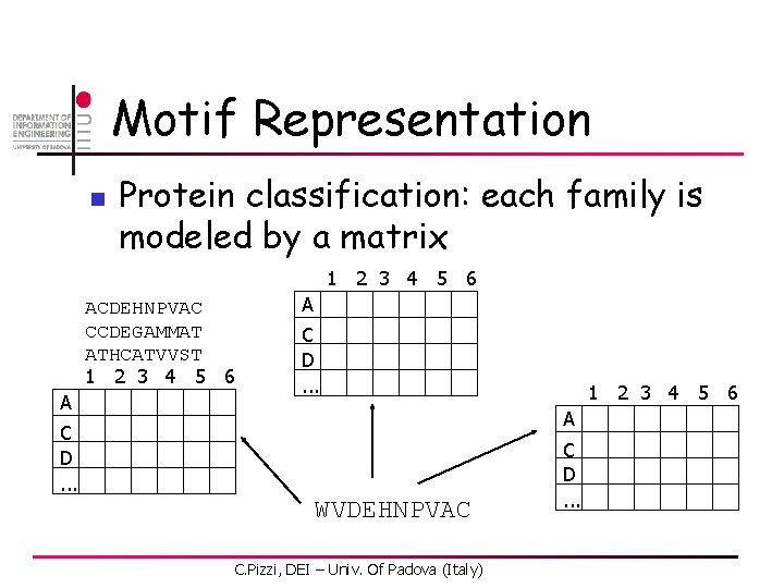 Motif Representation n Protein classification: each family is modeled by a matrix 1 2