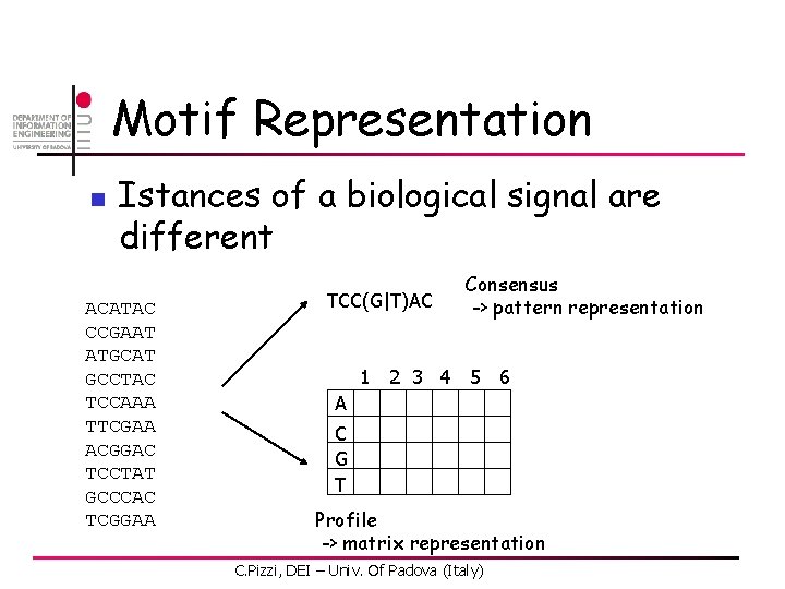 Motif Representation n Istances of a biological signal are different ACATAC CCGAAT ATGCAT GCCTAC