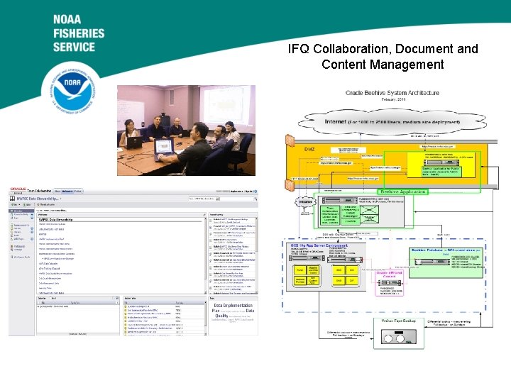 IFQ Collaboration, Document and Content Management 