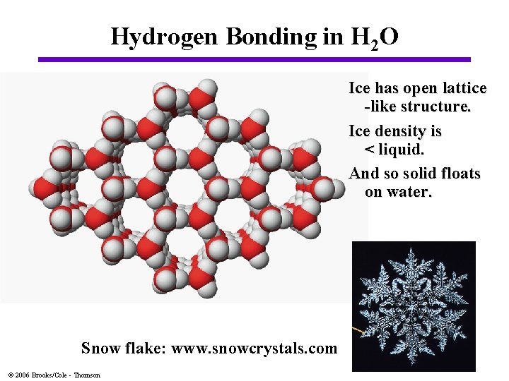 Hydrogen Bonding in H 2 O Ice has open lattice -like structure. Ice density