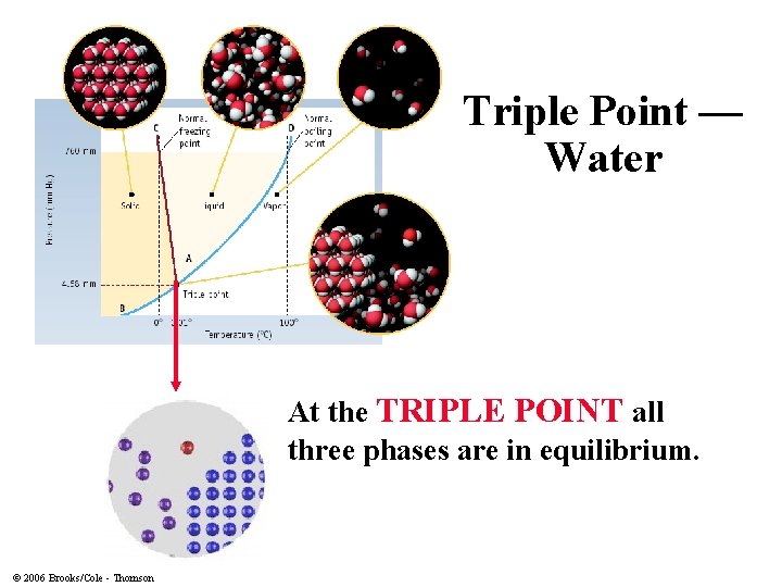 Triple Point — Water At the TRIPLE POINT all three phases are in equilibrium.