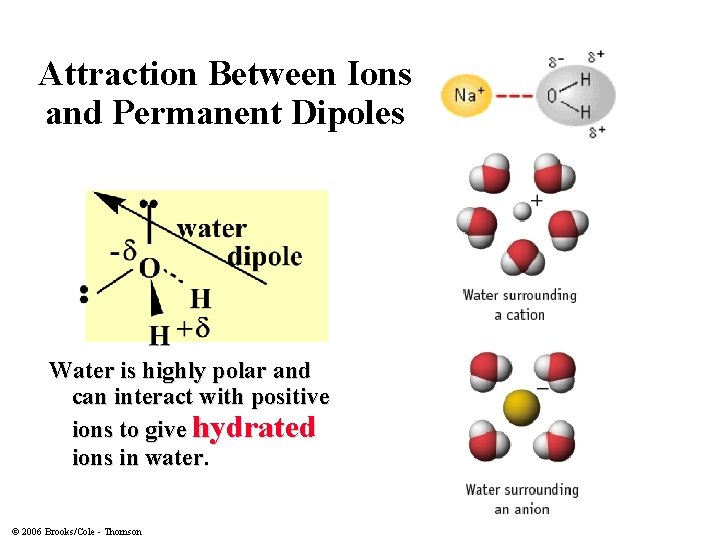 Attraction Between Ions and Permanent Dipoles Water is highly polar and can interact with