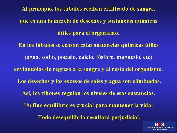 Al principio, los túbulos reciben el filtrado de sangre, que es una la mezcla