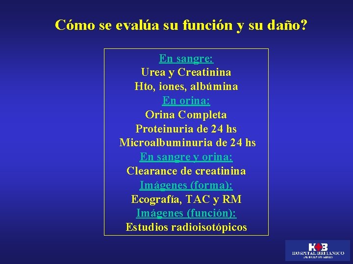 Cómo se evalúa su función y su daño? En sangre: Urea y Creatinina Hto,