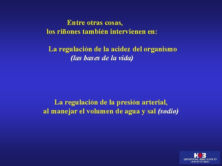 Entre otras cosas, los riñones también intervienen en: La regulación de la acidez del