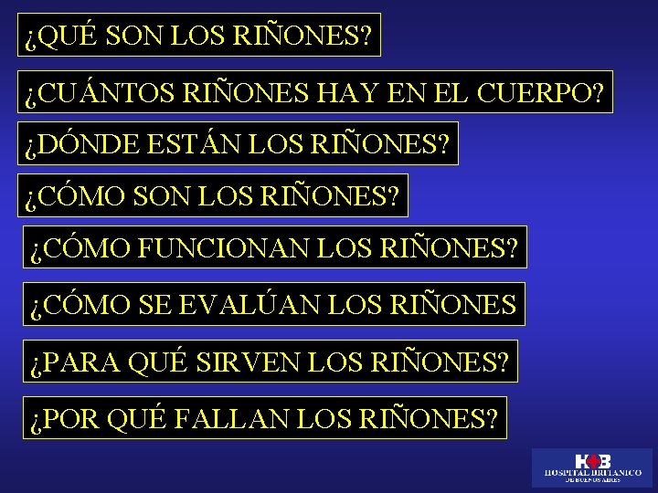 ¿QUÉ SON LOS RIÑONES? ¿CUÁNTOS RIÑONES HAY EN EL CUERPO? ¿DÓNDE ESTÁN LOS RIÑONES?