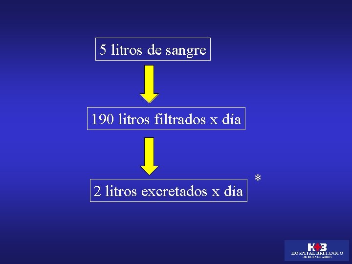 5 litros de sangre 190 litros filtrados x día 2 litros excretados x día