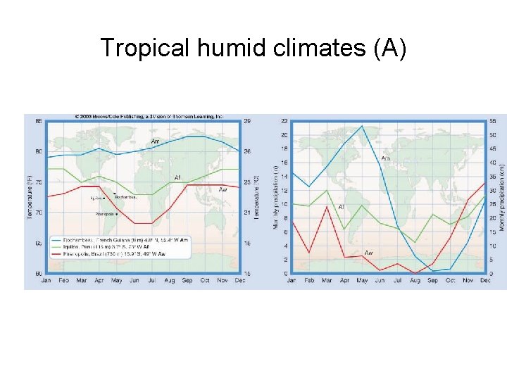 Tropical humid climates (A) 