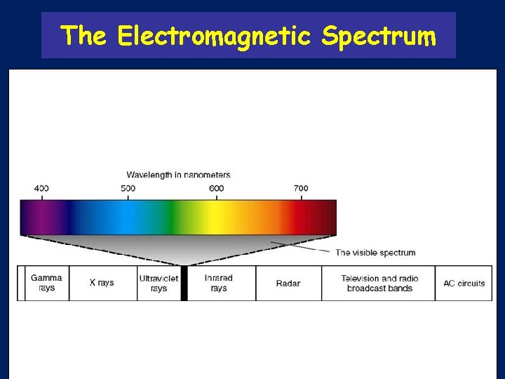 The Electromagnetic Spectrum 