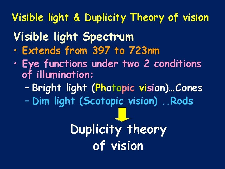 Visible light & Duplicity Theory of vision Visible light Spectrum • Extends from 397