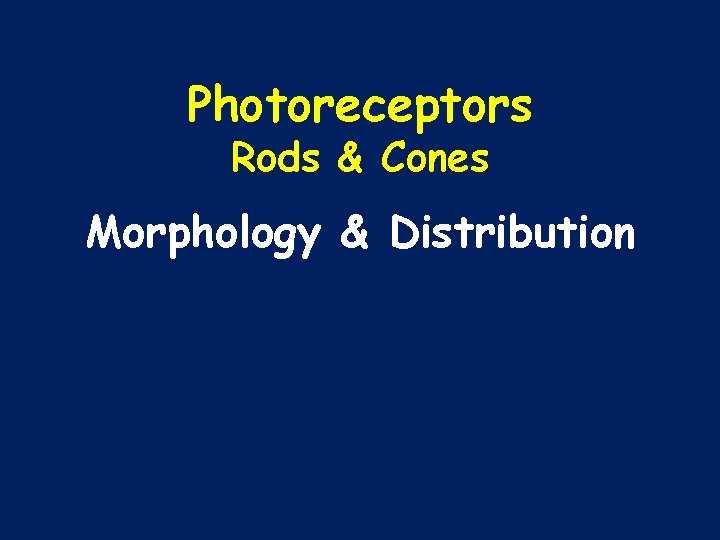 Photoreceptors Rods & Cones Morphology & Distribution 