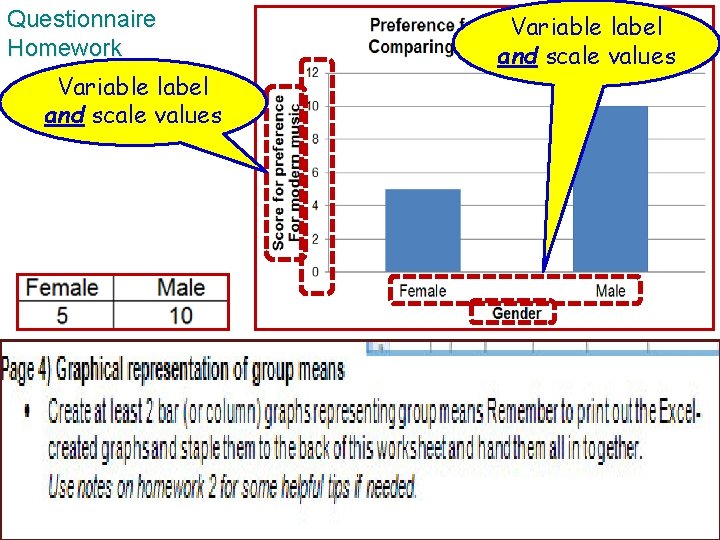 Questionnaire Homework Variable label and scale values 