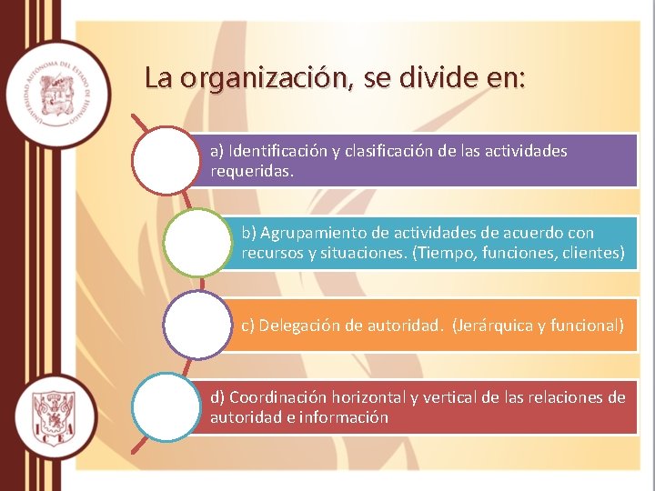 La organización, se divide en: a) Identificación y clasificación de las actividades requeridas. b)