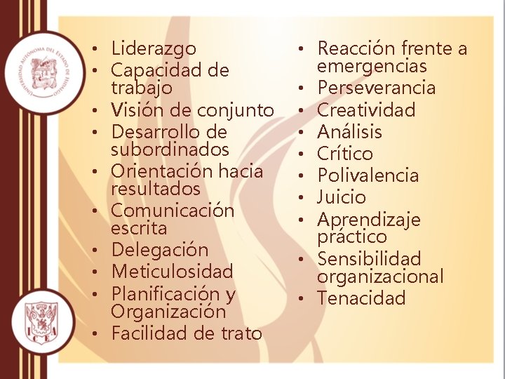  • Liderazgo • Capacidad de trabajo • Visión de conjunto • Desarrollo de