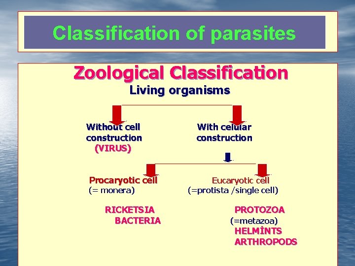 Classification of parasites Zoological Classification Living organisms Without cell construction (VIRUS) Procaryotic cell (=