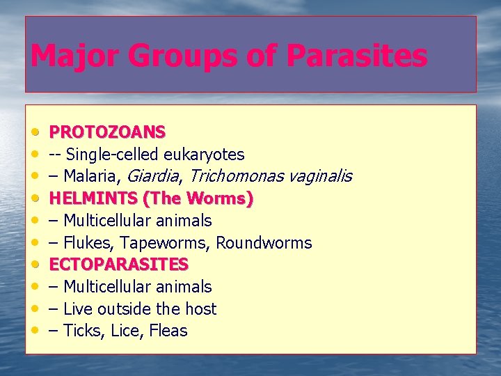 Major Groups of Parasites • • • PROTOZOANS -- Single-celled eukaryotes – Malaria, Giardia,