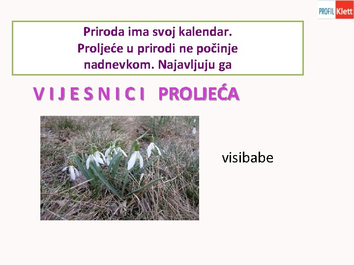 Priroda ima svoj kalendar. Proljeće u prirodi ne počinje nadnevkom. Najavljuju ga V I