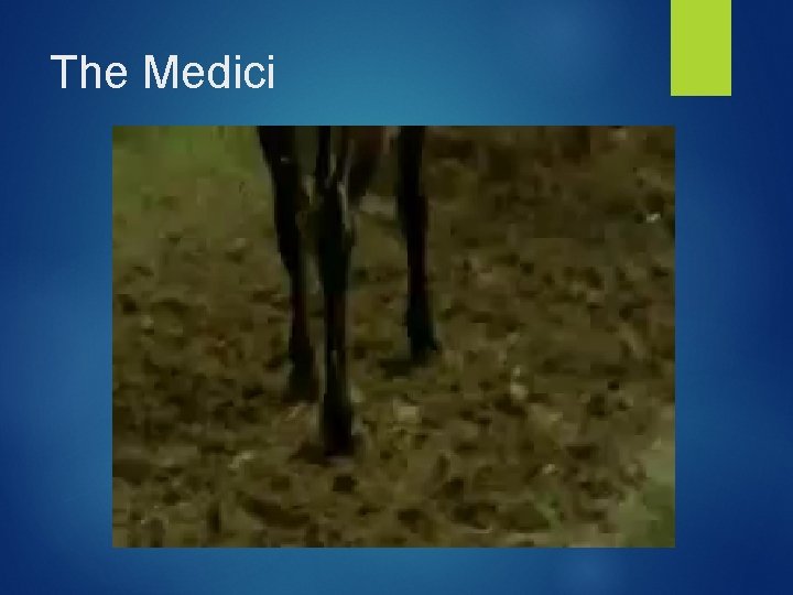 The Medici The Medici