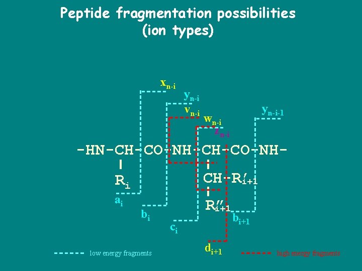 Peptide fragmentation possibilities (ion types) xn-i yn-i vn-i yn-i-1 wn-i zn-i -HN-CH-CO-NHRi CH-R’ i+1