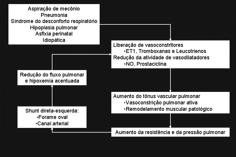 Aspiração de mecônio Pneumonia Síndrome do desconforto respiratório Hipoplasia pulmonar Asfixia perinatal Idiopática Liberação
