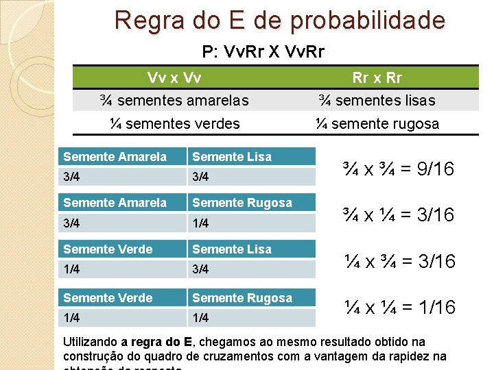 Regra do E de probabilidade P: Vv. Rr X Vv. Rr Vv x Vv