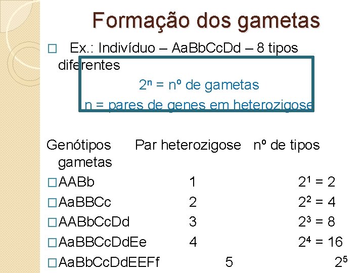 Formação dos gametas � Ex. : Indivíduo – Aa. Bb. Cc. Dd – 8