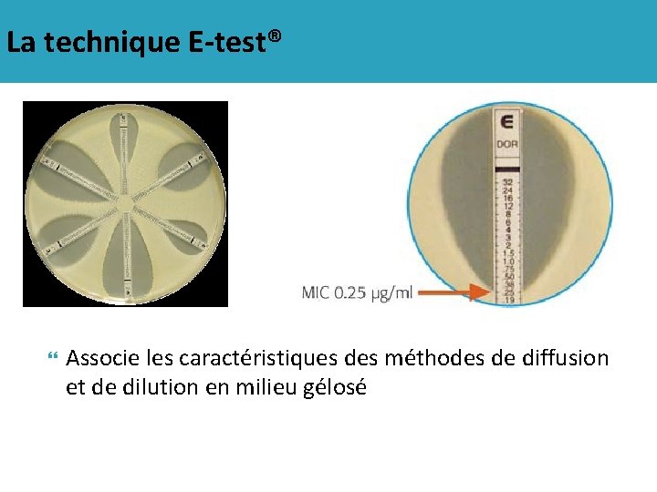 La technique E-test® Associe les caractéristiques des méthodes de diffusion et de dilution en