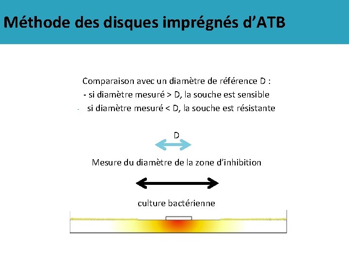 Méthode des disques imprégnés d’ATB Comparaison avec un diamètre de référence D : -