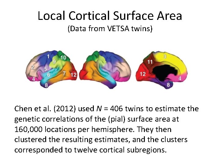 Local Cortical Surface Area (Data from VETSA twins) Chen et al. (2012) used N