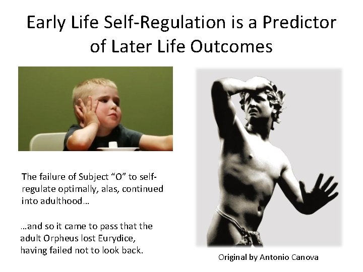 Early Life Self-Regulation is a Predictor of Later Life Outcomes The failure of Subject