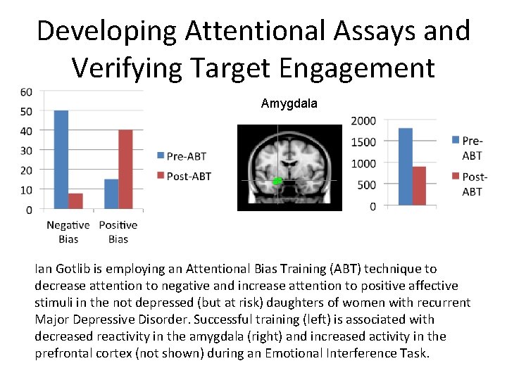 Developing Attentional Assays and Verifying Target Engagement Amygdala Ian Gotlib is employing an Attentional