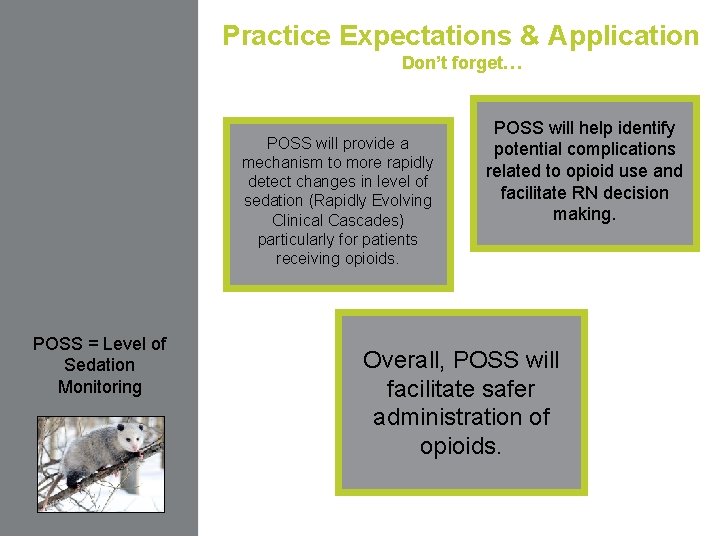 Practice Expectations & Application Don’t forget… POSS will provide a mechanism to more rapidly