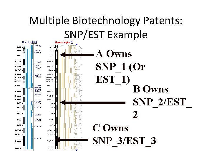 Multiple Biotechnology Patents: SNP/EST Example A Owns SNP_1 (Or EST_1) B Owns SNP_2/EST_ 2