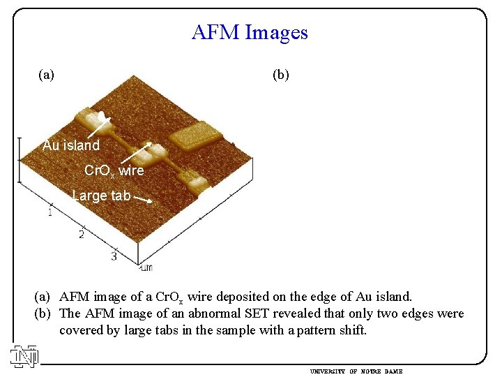 AFM Images (a) (b) Au island Cr. Ox wire Large tab Gate Cr. Ox