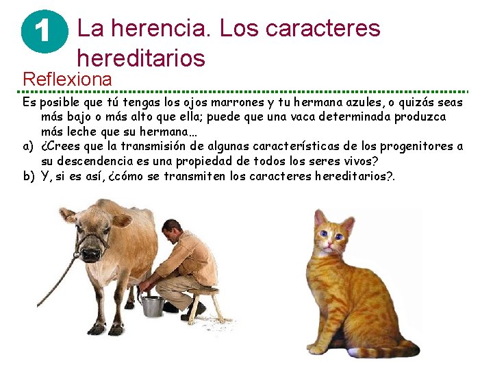 1 La herencia. Los caracteres hereditarios Reflexiona Es posible que tú tengas los ojos 1 La herencia. Los caracteres hereditarios Reflexiona Es posible que tú tengas los ojos