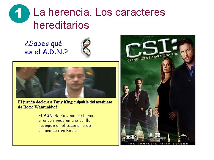 1 La herencia. Los caracteres hereditarios ¿Sabes qué es el A. D. N. ? 1 La herencia. Los caracteres hereditarios ¿Sabes qué es el A. D. N. ?