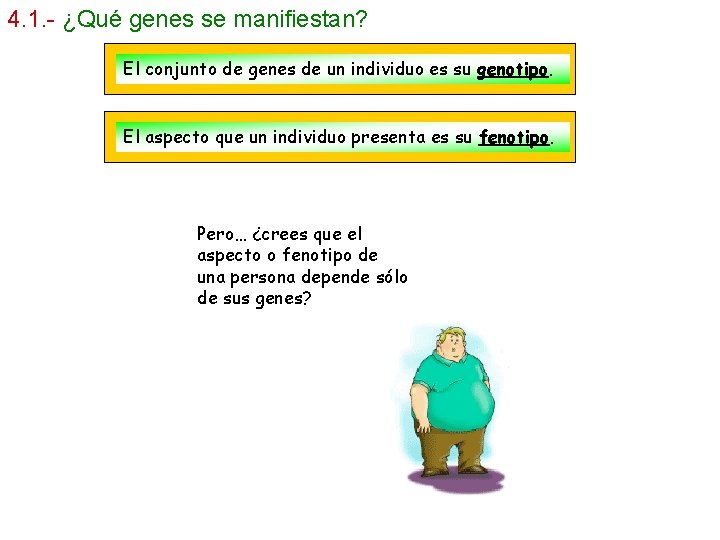 4. 1. - ¿Qué genes se manifiestan? El conjunto de genes de un individuo