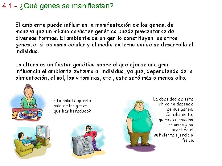 4. 1. - ¿Qué genes se manifiestan? El ambiente puede influir en la manifestación