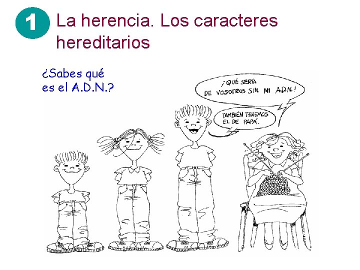 1 La herencia. Los caracteres hereditarios ¿Sabes qué es el A. D. N. ?