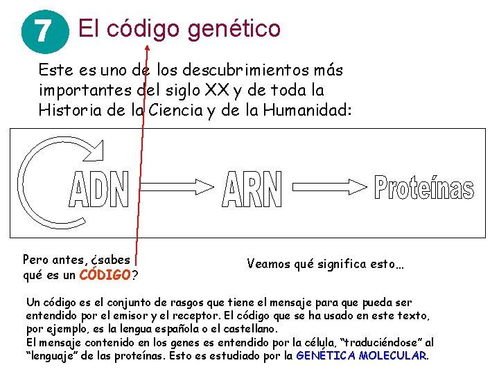 7 El código genético Este es uno de los descubrimientos más importantes del siglo