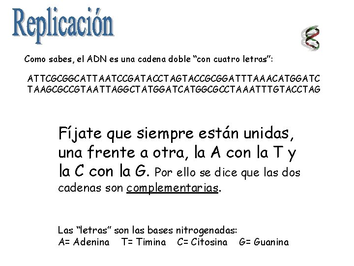 Como sabes, el ADN es una cadena doble “con cuatro letras”: ATTCGCGGCATTAATCCGATACCTAGTACCGCGGATTTAAACATGGATC TAAGCGCCGTAATTAGGCTATGGATCATGGCGCCTAAATTTGTACCTAG Fíjate