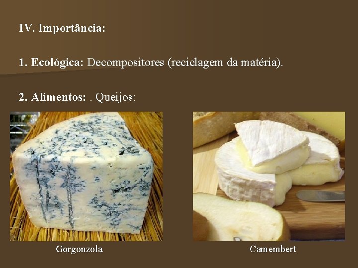 IV. Importância: 1. Ecológica: Decompositores (reciclagem da matéria). 2. Alimentos: . Queijos: Gorgonzola Camembert