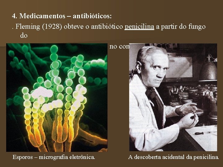 4. Medicamentos – antibióticos: . Fleming (1928) obteve o antibiótico penicilina a partir do